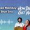Matinee Monday: Deep Blue Sea LIVE!