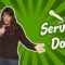 Service Dogs (Stand Up Comedy)