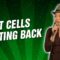 Fat Cells Fighting Back (Stand Up Comedy)