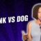 Skunk VS Dog (Stand Up Comedy)