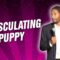 Emasculating Puppy (Stand Up Comedy)