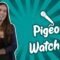 Pigeon Watching (Stand Up Comedy)