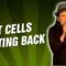 Fat Cells Fighting Back (Stand Up Comedy)