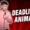 Deadliest Animals (Stand Up Comedy)