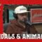 Nateland | Ep #124 – Scandals & Animals