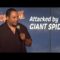 Attacked by Giant Spider – Shang – Stand Up Comedy