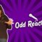 Odd Reactions (Stand Up Comedy)