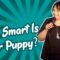 How Smart Is Your Puppy? (Stand Up Comedy)