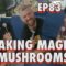 Taking Magic Mushrooms with Mike Cannon & Adam Gilbert | Chris Distefano is Chrissy Chaos | EP 83