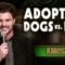 Adopting Dogs vs. Kids | Amos Gill | Stand Up Comedy
