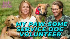 Private: [ID: f_RTMMR7sh0] Youtube Automatic