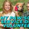 My Paw-some Service Dog Volunteer – Melissa Rubin | Tosh Show