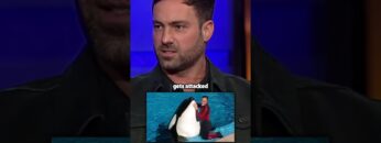 Private: [ID: QrtzIkYqx8w] Youtube Automatic