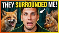 Private: [ID: 3xyRzm4QbFU] Youtube Automatic