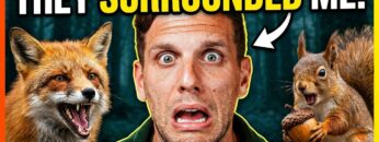 Private: [ID: 3xyRzm4QbFU] Youtube Automatic