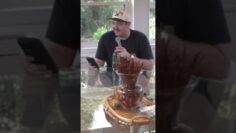 Private: [ID: 7VG9OAS8VL8] Youtube Automatic